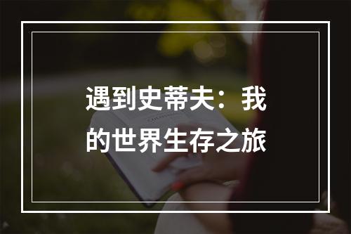 遇到史蒂夫：我的世界生存之旅