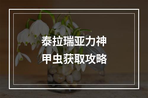 泰拉瑞亚力神甲虫获取攻略