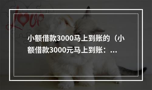 小额借款3000马上到账的（小额借款3000元马上到账：马上解决紧急资金问题）