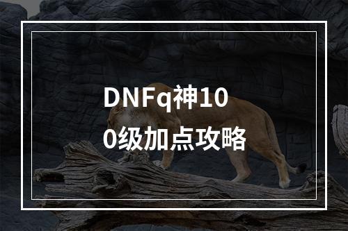 DNFq神100级加点攻略