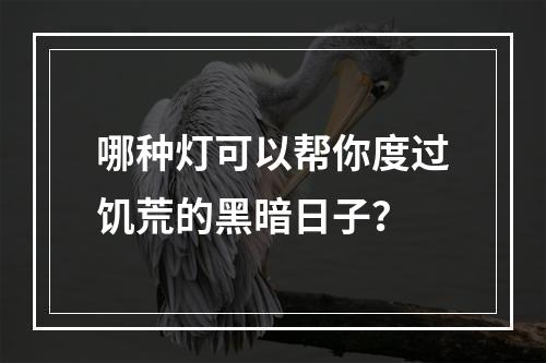 哪种灯可以帮你度过饥荒的黑暗日子？