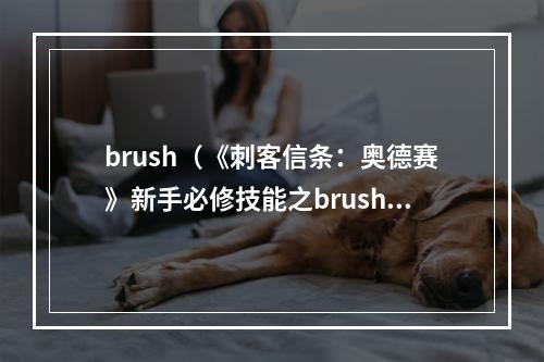 brush（《刺客信条：奥德赛》新手必修技能之brush）