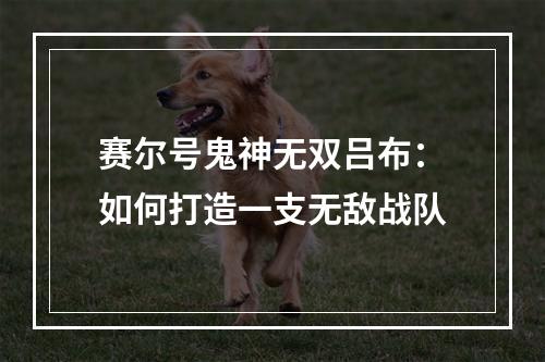 赛尔号鬼神无双吕布：如何打造一支无敌战队