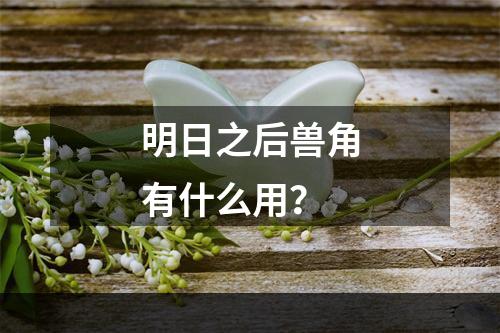 明日之后兽角有什么用？