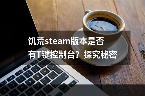 饥荒steam版本是否有T键控制台？探究秘密