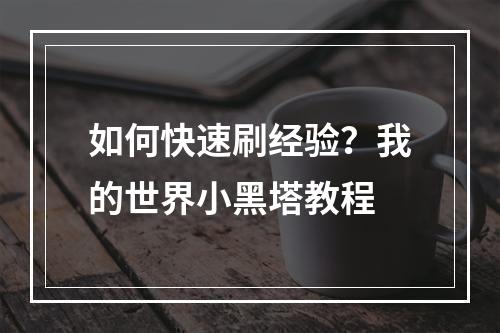 如何快速刷经验？我的世界小黑塔教程