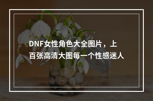 DNF女性角色大全图片，上百张高清大图每一个性感迷人