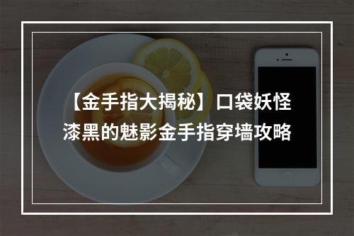 【金手指大揭秘】口袋妖怪漆黑的魅影金手指穿墙攻略