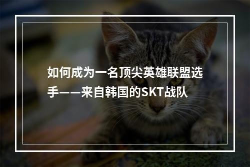 如何成为一名顶尖英雄联盟选手——来自韩国的SKT战队