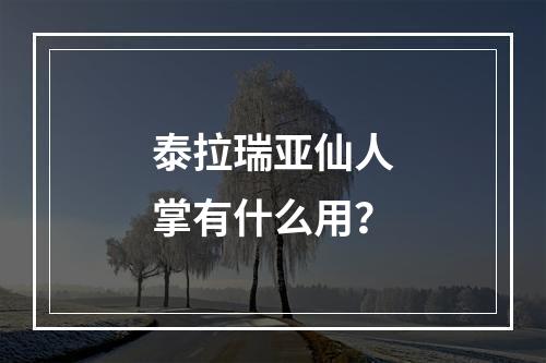 泰拉瑞亚仙人掌有什么用？