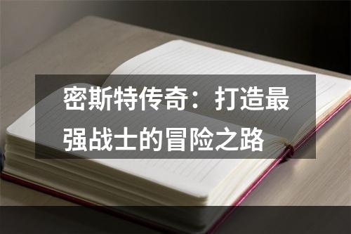 密斯特传奇：打造最强战士的冒险之路