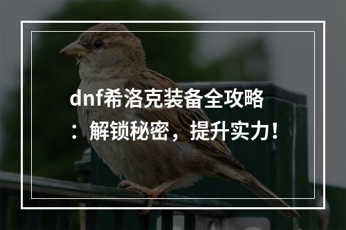 dnf希洛克装备全攻略：解锁秘密，提升实力！