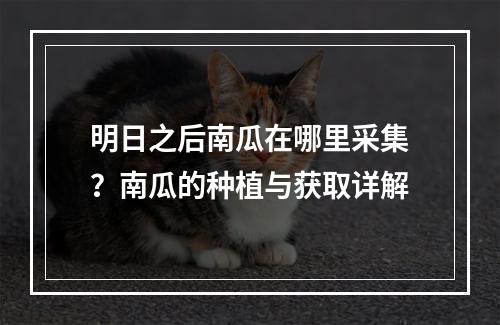 明日之后南瓜在哪里采集？南瓜的种植与获取详解