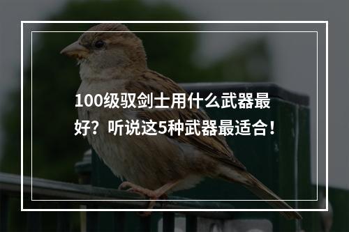 100级驭剑士用什么武器最好？听说这5种武器最适合！