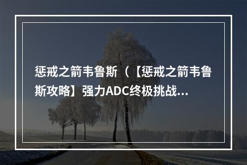 惩戒之箭韦鲁斯（【惩戒之箭韦鲁斯攻略】强力ADC终极挑战）