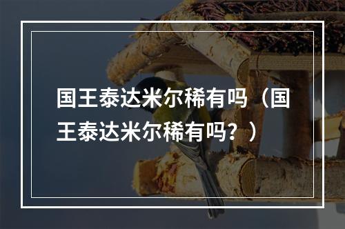 国王泰达米尔稀有吗（国王泰达米尔稀有吗？）