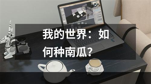 我的世界：如何种南瓜？