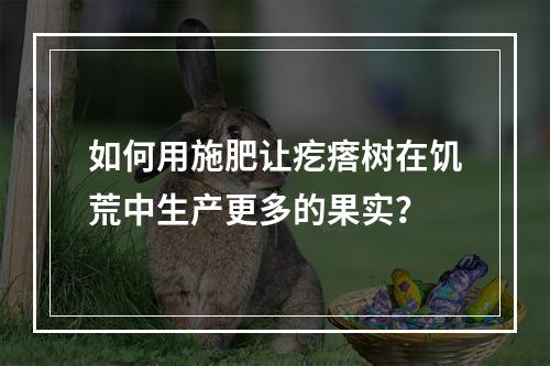 如何用施肥让疙瘩树在饥荒中生产更多的果实？