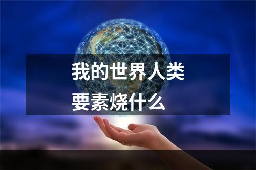 我的世界人类要素烧什么