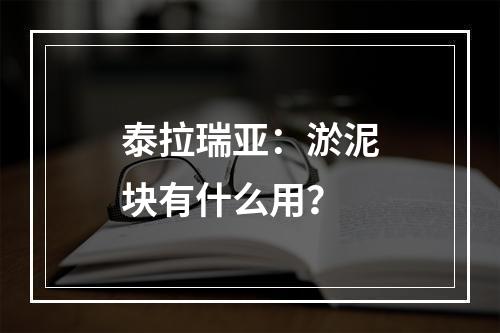 泰拉瑞亚：淤泥块有什么用？