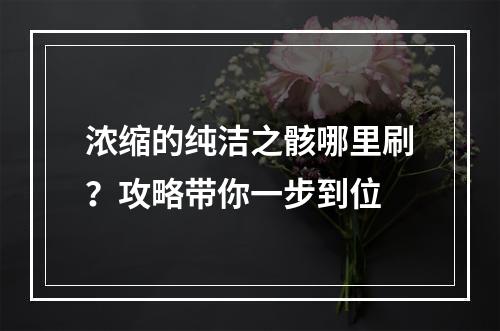 浓缩的纯洁之骸哪里刷？攻略带你一步到位