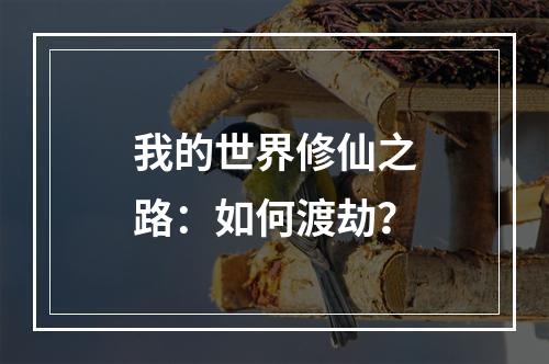 我的世界修仙之路：如何渡劫？