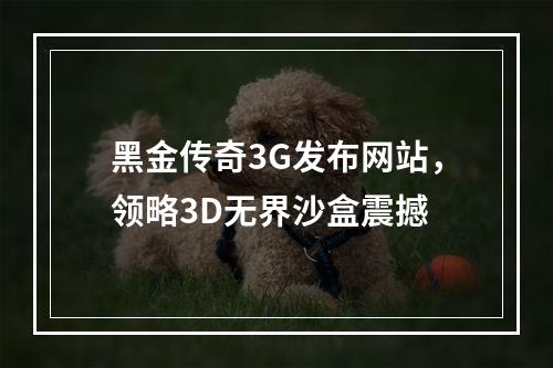 黑金传奇3G发布网站，领略3D无界沙盒震撼