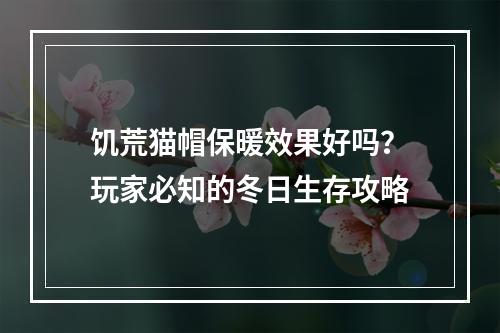 饥荒猫帽保暖效果好吗？玩家必知的冬日生存攻略