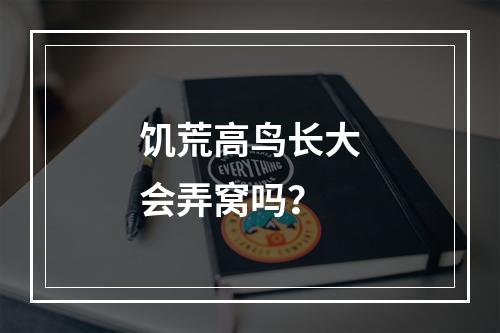 饥荒高鸟长大会弄窝吗？