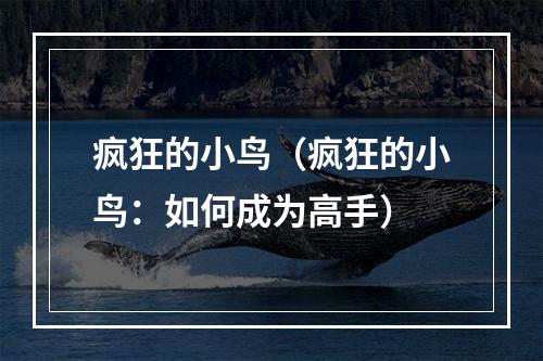 疯狂的小鸟（疯狂的小鸟：如何成为高手）