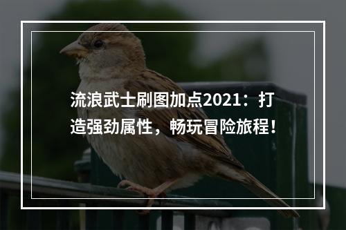 流浪武士刷图加点2021：打造强劲属性，畅玩冒险旅程！