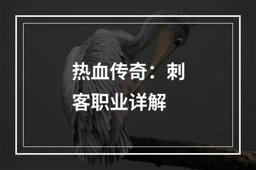 热血传奇：刺客职业详解