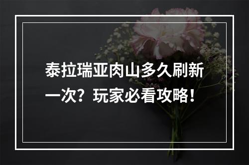 泰拉瑞亚肉山多久刷新一次？玩家必看攻略！