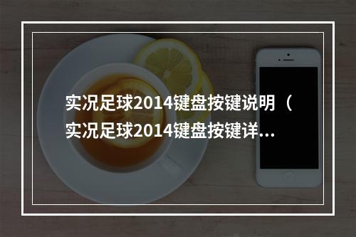 实况足球2014键盘按键说明（实况足球2014键盘按键详解）