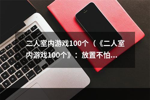 二人室内游戏100个（《二人室内游戏100个》：放置不怕无聊的小伙伴们）