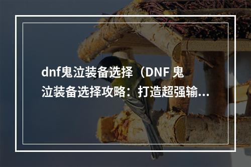 dnf鬼泣装备选择（DNF 鬼泣装备选择攻略：打造超强输出）