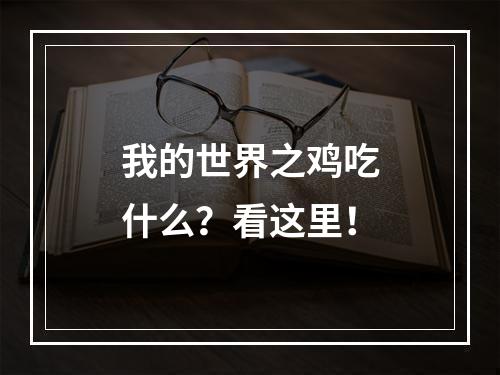 我的世界之鸡吃什么？看这里！