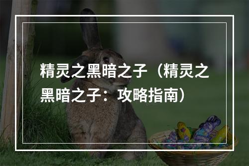 精灵之黑暗之子（精灵之黑暗之子：攻略指南）