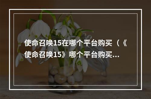 使命召唤15在哪个平台购买（《使命召唤15》哪个平台购买？全平台解析！）