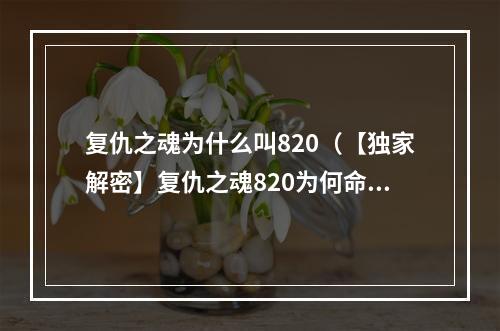 复仇之魂为什么叫820（【独家解密】复仇之魂820为何命名如此？游戏攻略详解！）