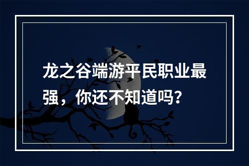 龙之谷端游平民职业最强，你还不知道吗？