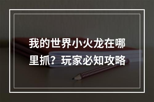 我的世界小火龙在哪里抓？玩家必知攻略