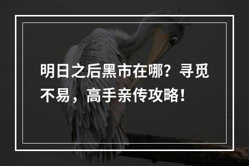 明日之后黑市在哪？寻觅不易，高手亲传攻略！