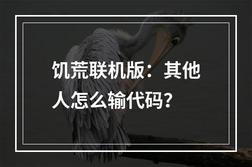 饥荒联机版：其他人怎么输代码？