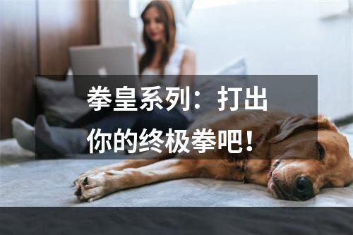 拳皇系列：打出你的终极拳吧！