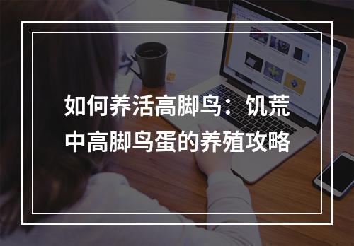 如何养活高脚鸟：饥荒中高脚鸟蛋的养殖攻略