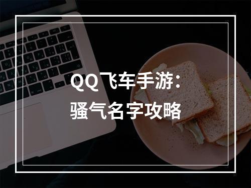 QQ飞车手游：骚气名字攻略