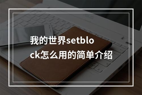 我的世界setblock怎么用的简单介绍