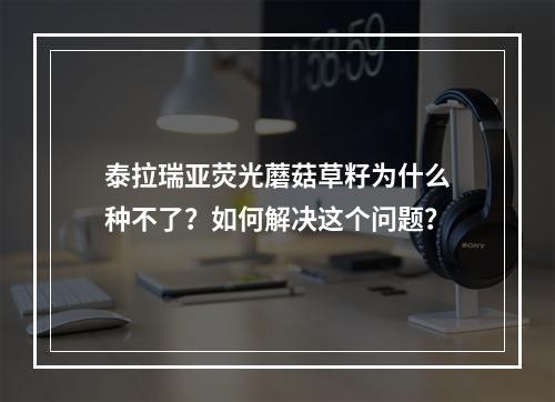 泰拉瑞亚荧光蘑菇草籽为什么种不了？如何解决这个问题？