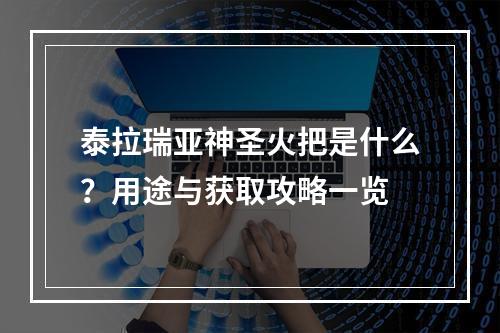 泰拉瑞亚神圣火把是什么？用途与获取攻略一览